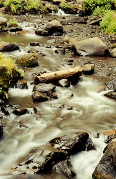 Creek at Latourell Falls, Oregon