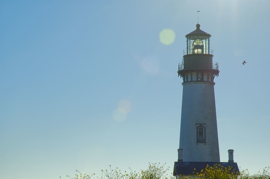 Yaquina Head Lighthouse Full