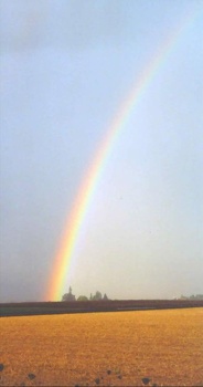 Rainbow in My Front Yard