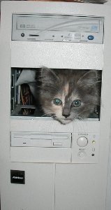 Mass Storage Device, Bad Kitty!